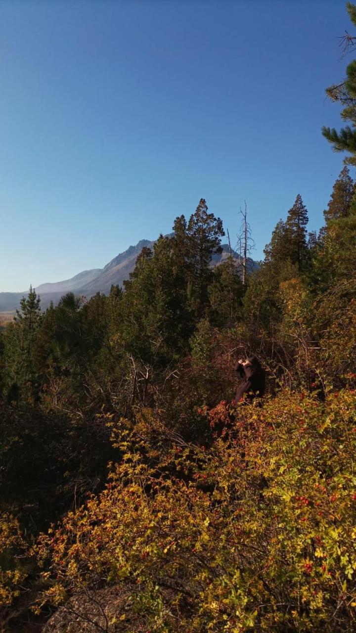 Criollo Lodge Hoyo de Epuyén Bagian luar foto