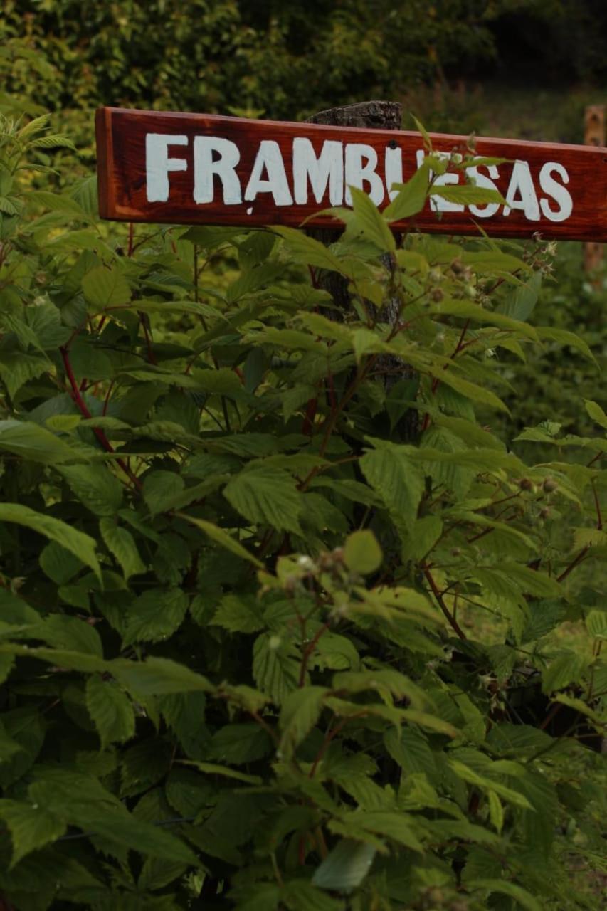 Criollo Lodge Hoyo de Epuyén Bagian luar foto